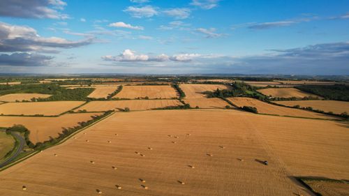 Free Breathtaking aerial image of wheat fields in Chapel End, England during summer. Stock Photo