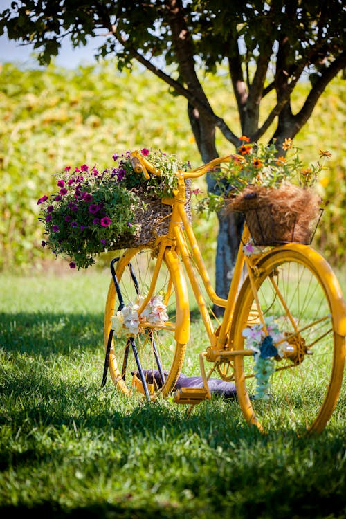 A Bike With Baskets Full of Flowers