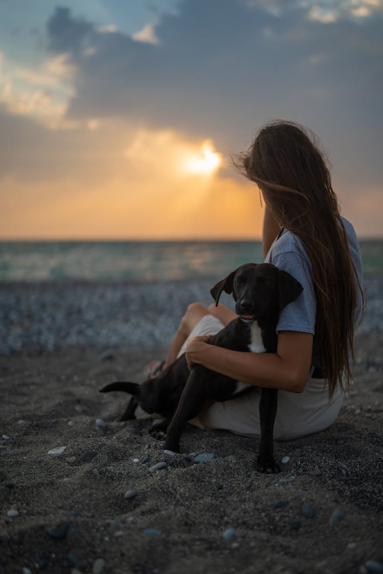 A Woman Sitting At The Beach With Her Dog