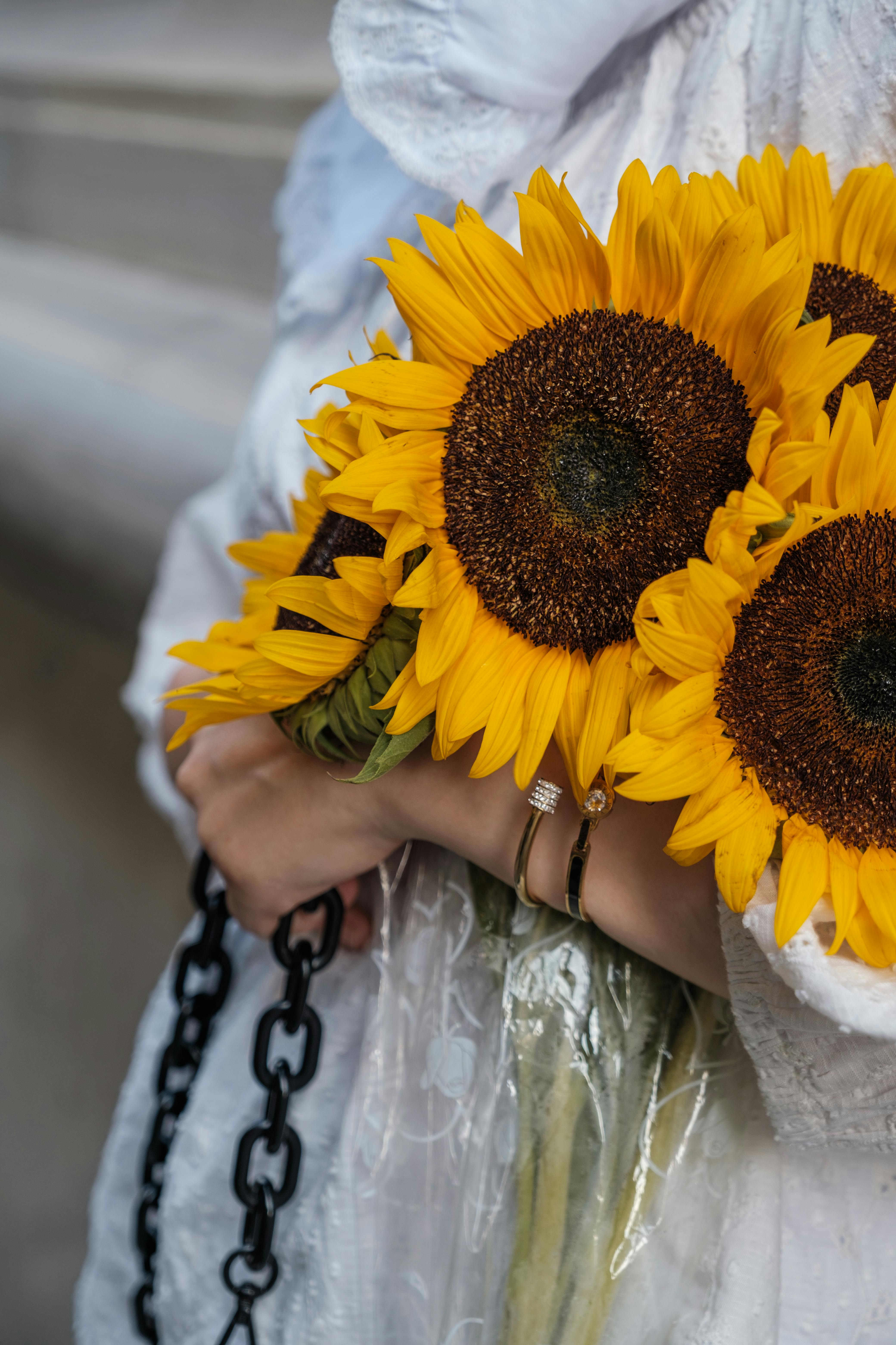 Beautiful bouquet of sunflowers held with delicate style, perfect for weddings.