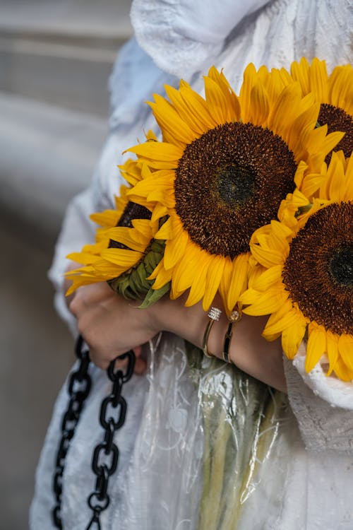 Close-Up Photo of a Person Holding a Bouquet of Yellow Sunflowers