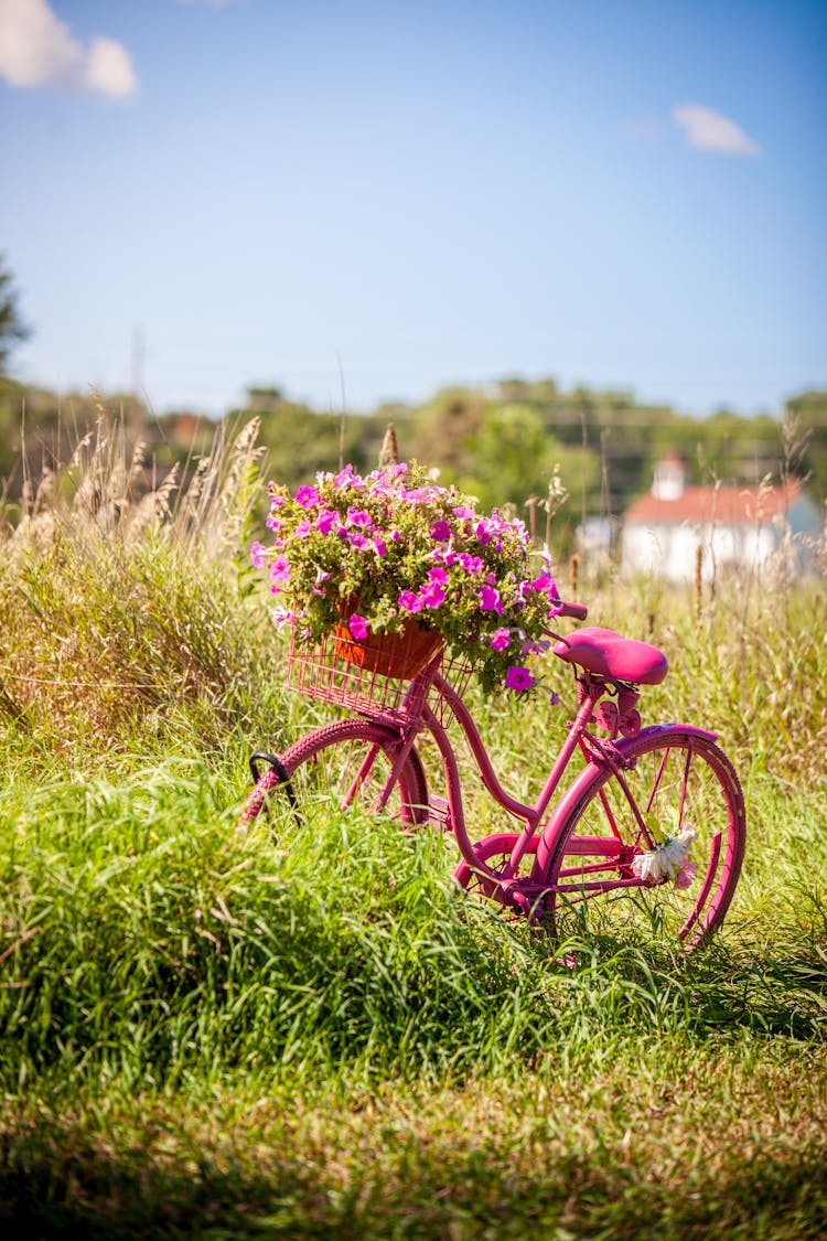 A Bike With A Basket Of Flowers