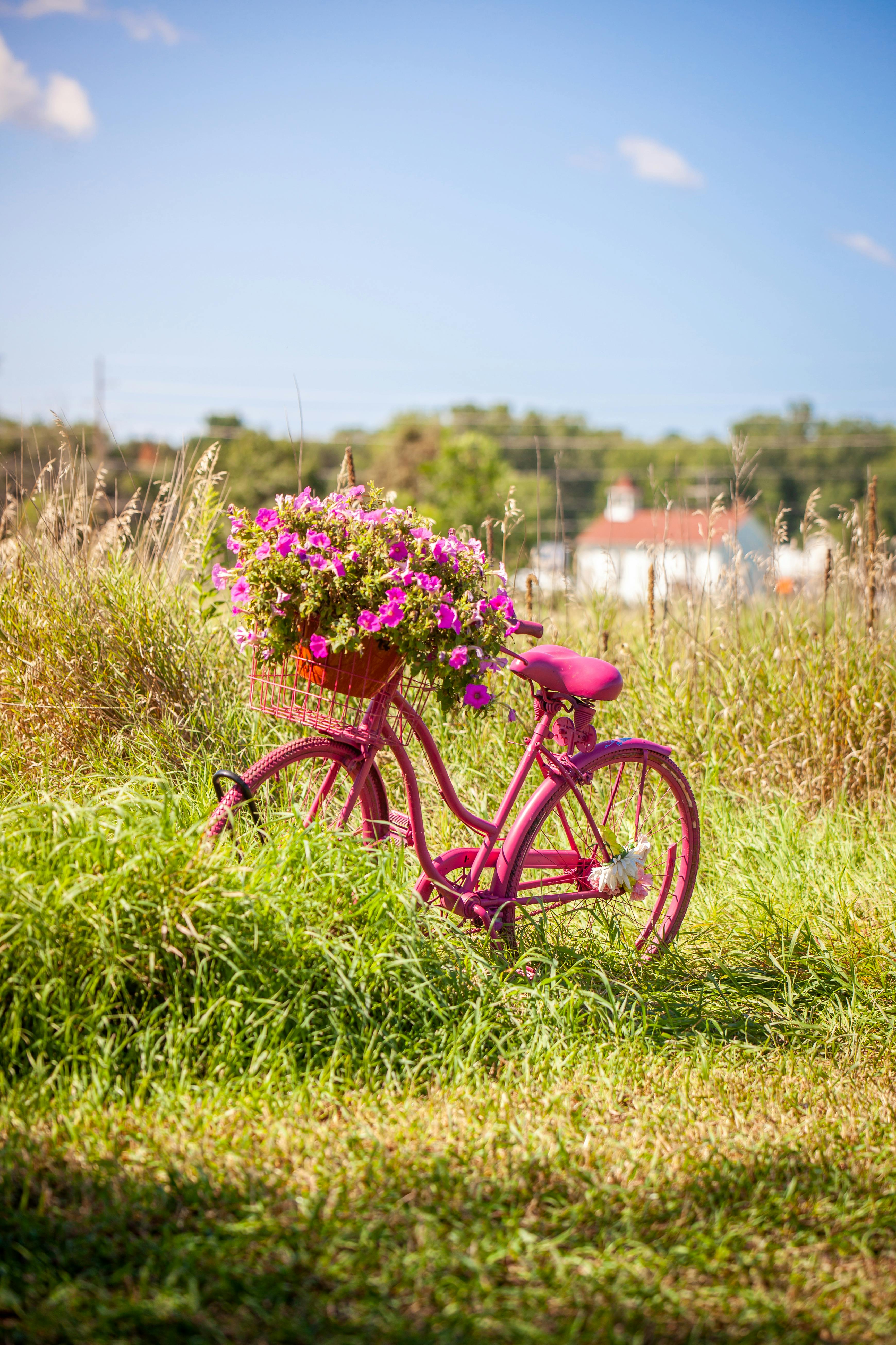 Green Cruiser Beach Bike With Yellow Flower on Basket · Free Stock Photo