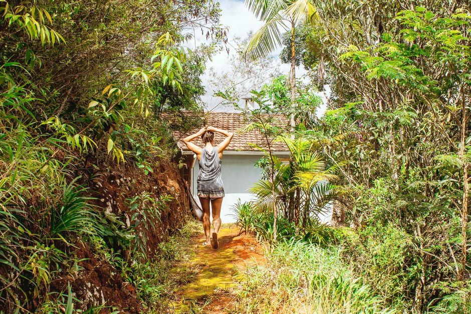 preventing mold growth in tropical house