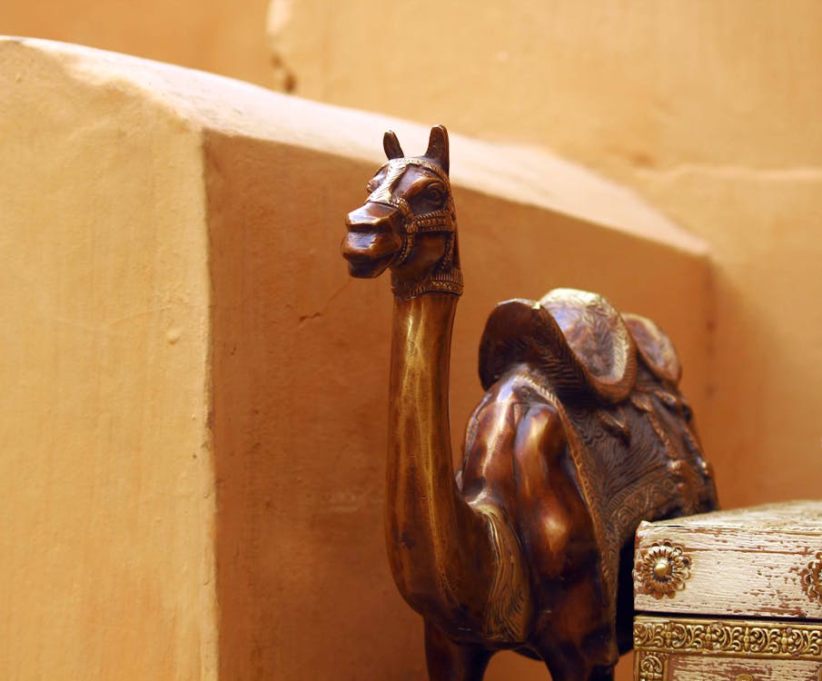 낙타, 동상, 라자스탄의 무료 스톡 사진