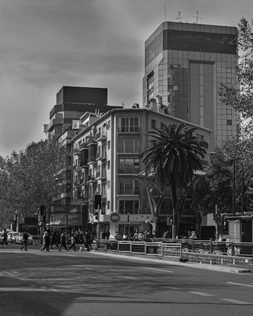 Grayscale Photo of People Walking on the City Street near Buildings