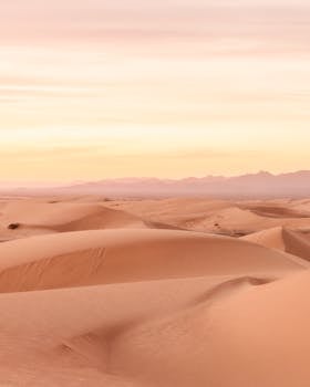 Serene golden dunes in Glamis Desert, California, capturing the warm tones of sunset.