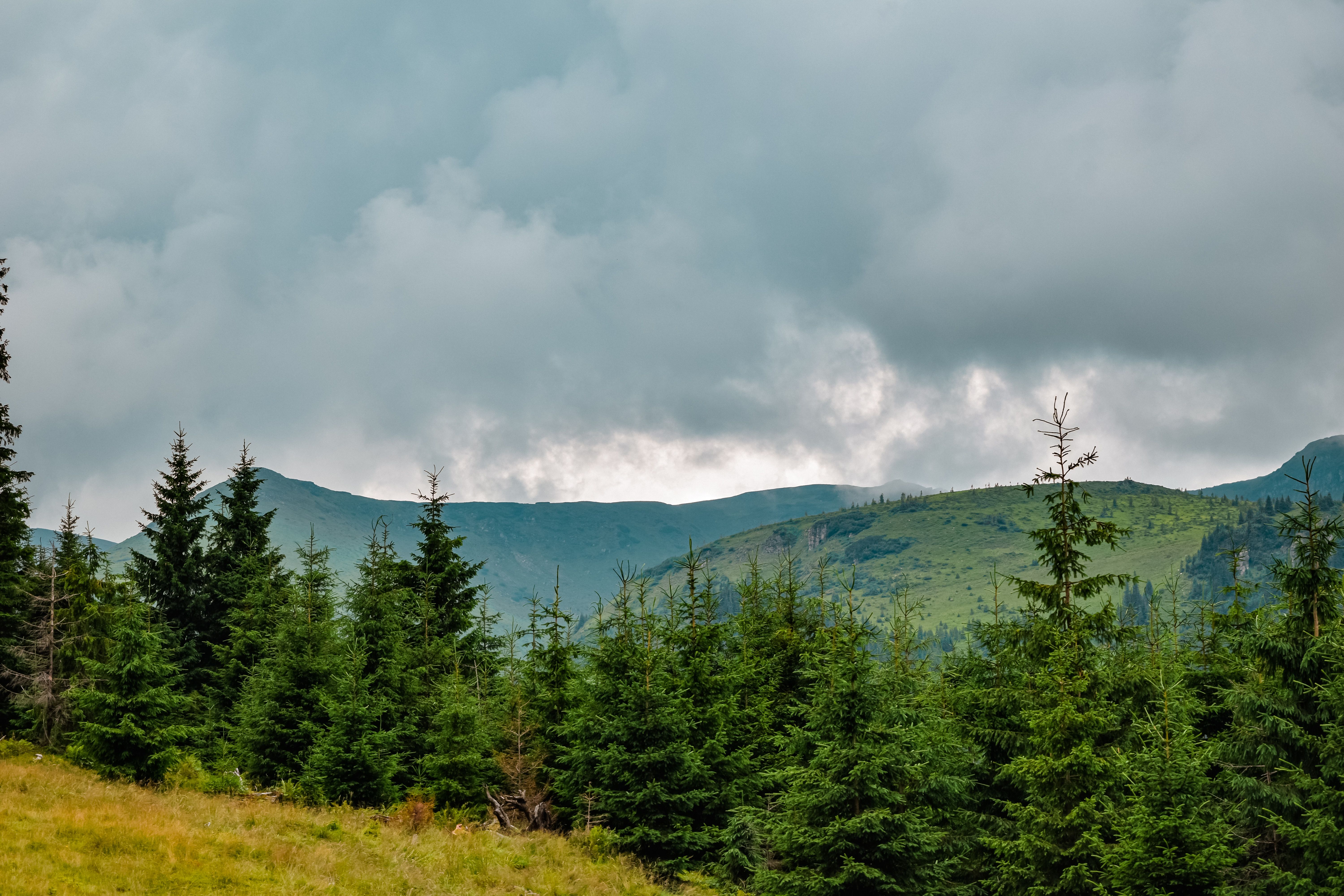 Green Trees Near Mountains Under Cloudy Sky · Free Stock Photo