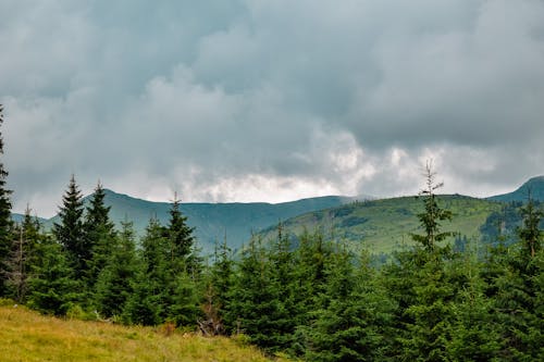 Green Trees Near Mountains Under Cloudy Sky