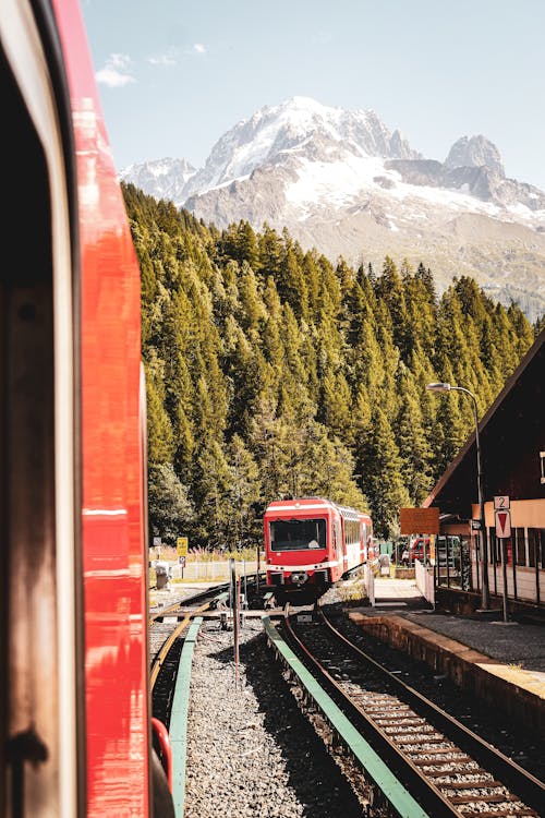 Trains Passing Each Other at the Station in the Mountains