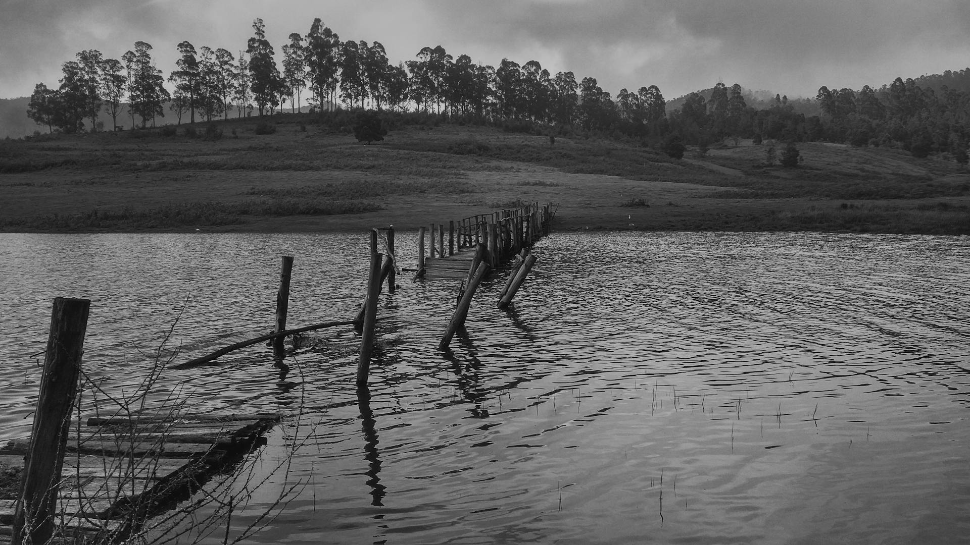 Grayscale Photo an Abandoned Ruined Wooden Dock