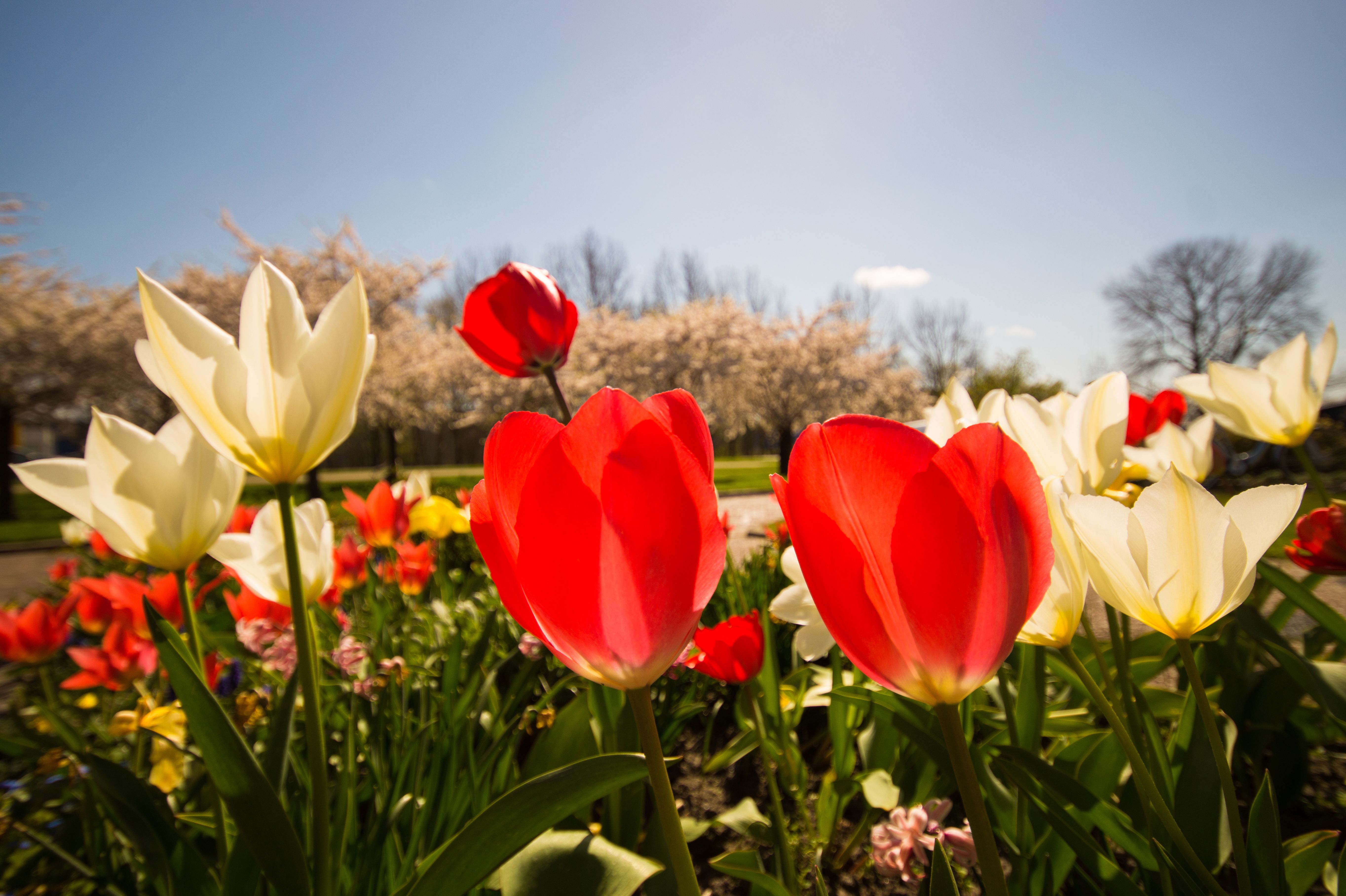 Local expert offers tips to 'spring clean' your beauty, skincare routine — Photo by ClickerHappy on Pexels