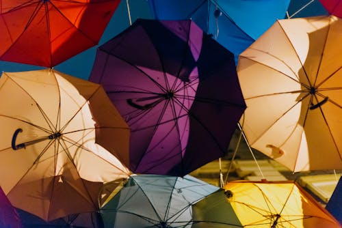 bezplatná Základová fotografie zdarma na téma barevný, barvy, deštníky Základová fotografie