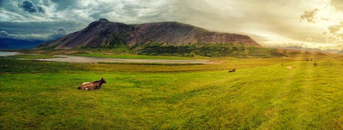 Green Grass Field Near Mountain Under Cloudy Sky