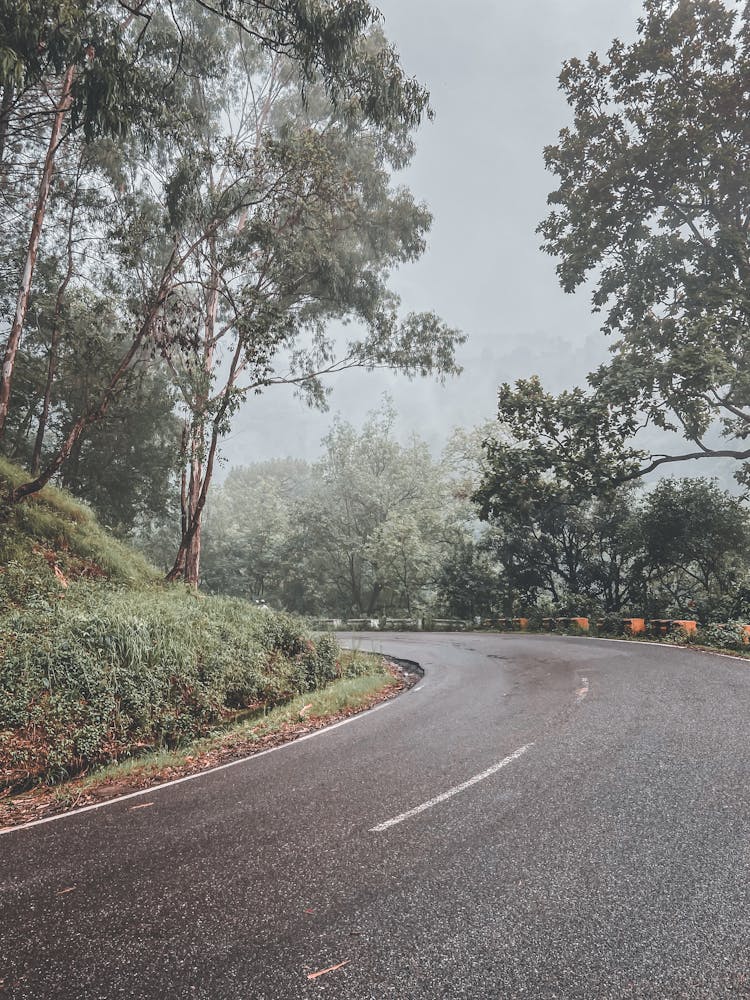 Road Curve In Countryside