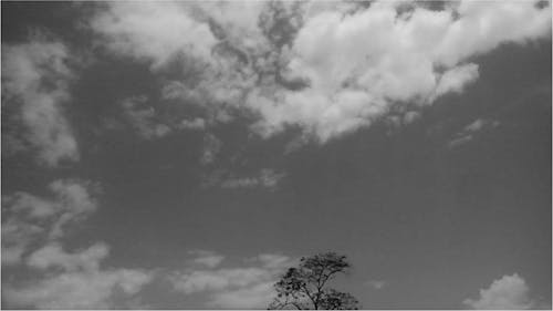 Základová fotografie zdarma na téma bílé mraky, mraky, mraky oblohy