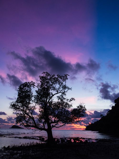 Free Captivating sunset in Thailand featuring a silhouetted tree against a colorful sky and calm sea. Stock Photo
