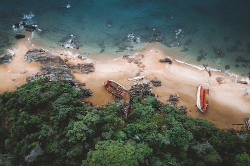 Aerial View of a Beach Near Green Trees