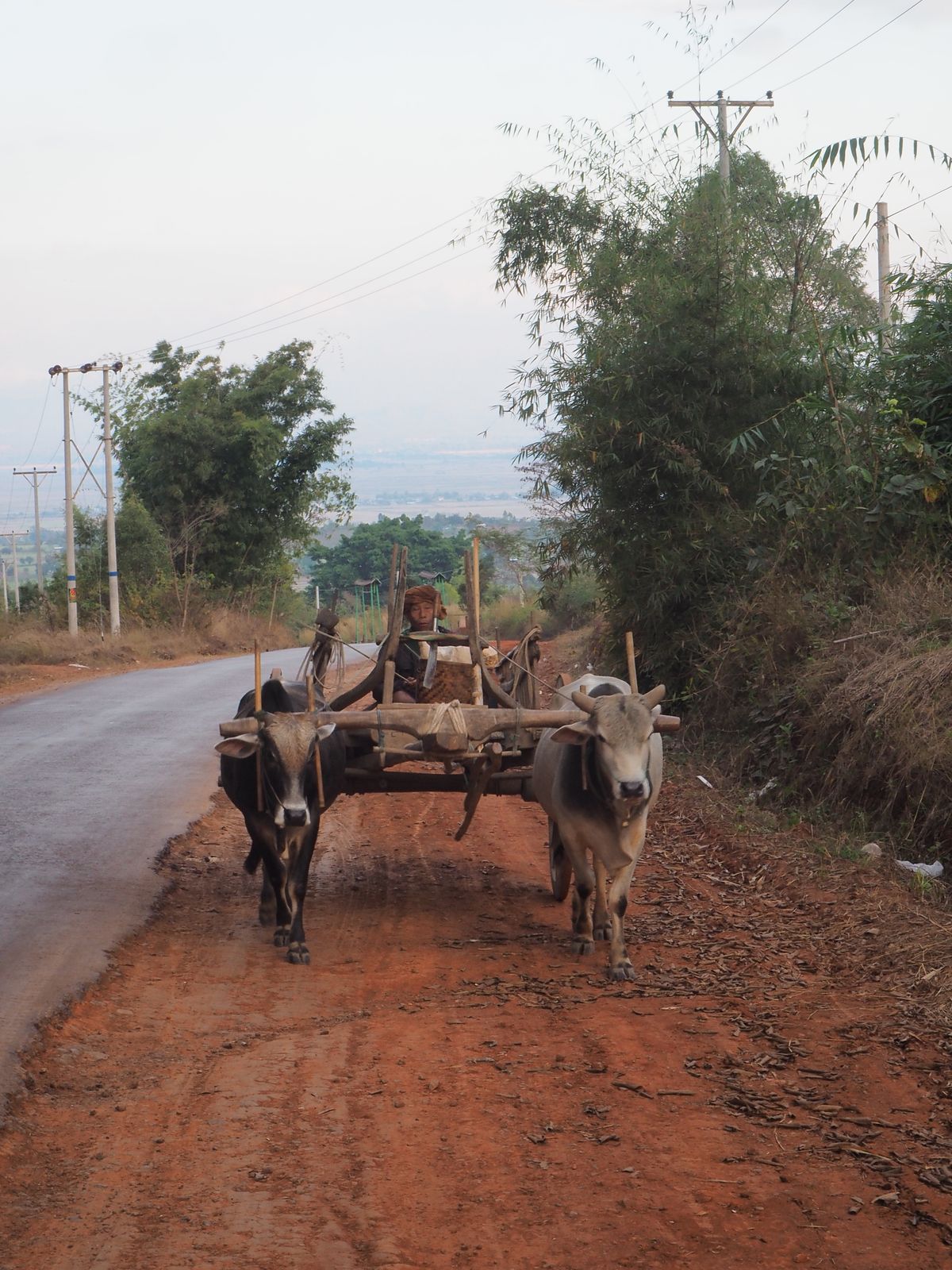 Traditional rural transport on a highland road