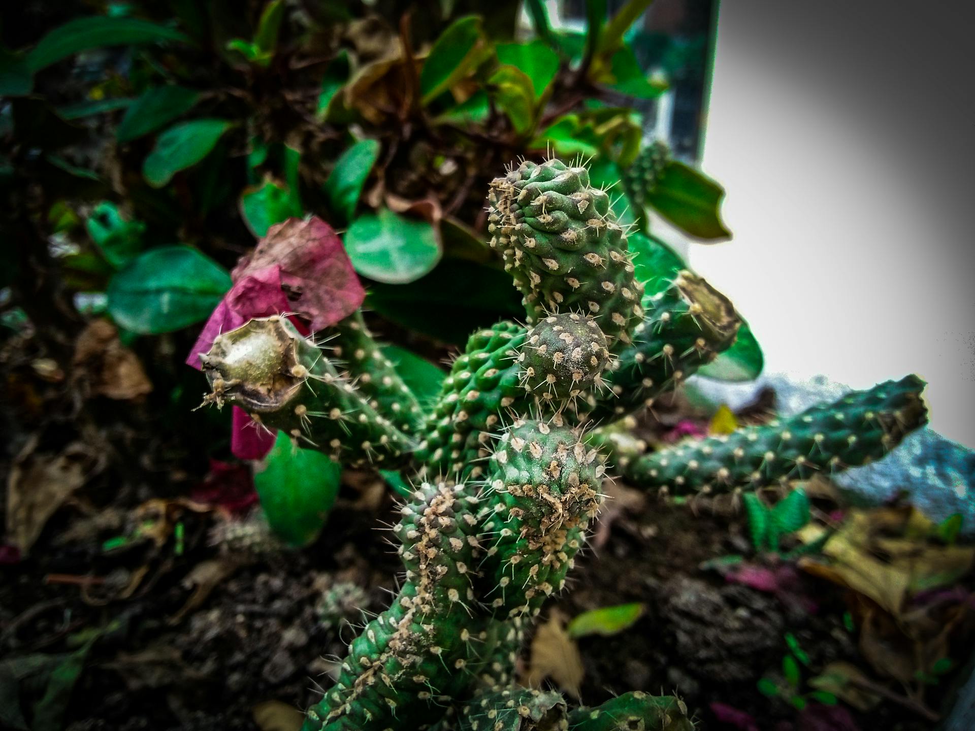 Person standing by a large window in the morning with sunlight streaming in