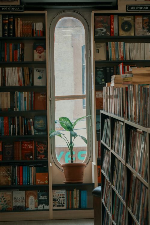 Free Inviting library corner with bookshelves flanking a window and a potted plant, ideal for reading enthusiasts. Stock Photo