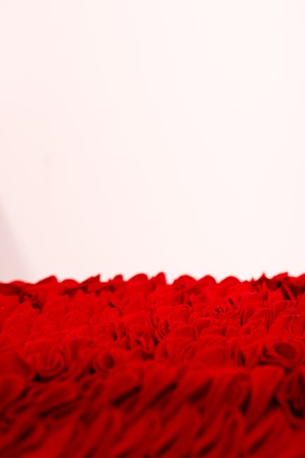 Close-up of red rosette fabric texture against a clean white background.