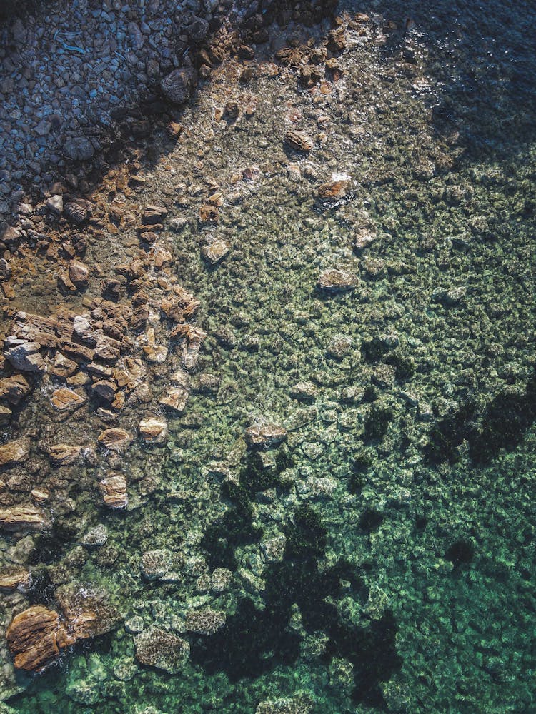 Close-Up Shot Of Rocks On The Beach