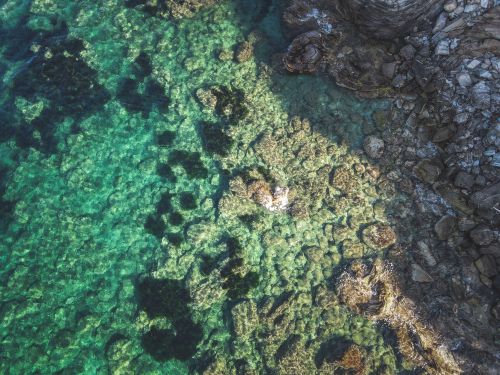 Free Stunning aerial shot of a rocky shoreline meeting vibrant turquoise water, showcasing natural beauty. Stock Photo