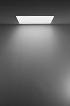Black and white minimalist image of a ceiling light casting shadows on a blank wall.