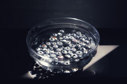 Free A glass bowl filled with fresh blueberries, captured in dramatic lighting and shadows. Stock Photo