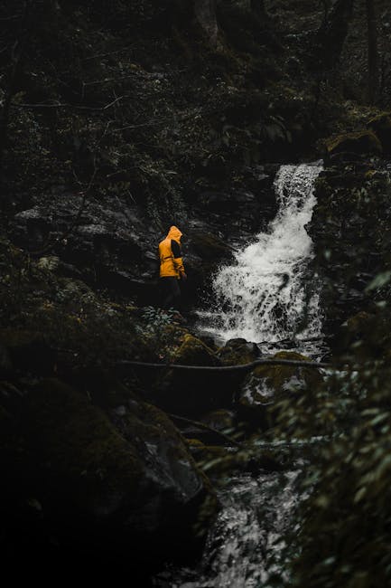 Waterproof shell jacket on a forest trail near a stream, ideal for wind and rain protection.