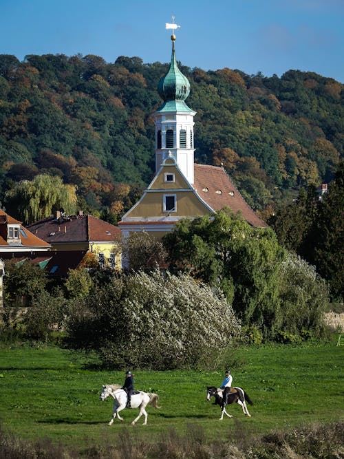 Foto stok gratis Desa, gereja, kuda