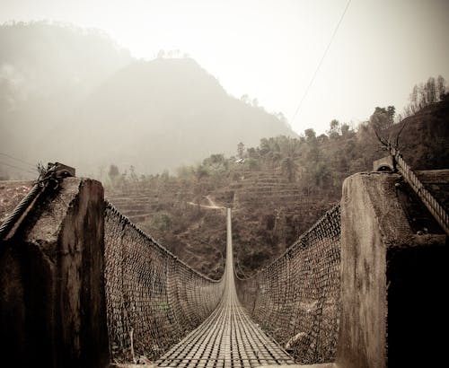 Free stock photo of bridge, footbridge, nature