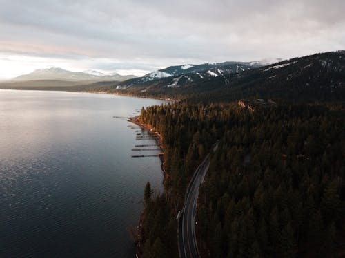 Photographie Aérienne D'une Forêt Dense Près D'un Plan D'eau