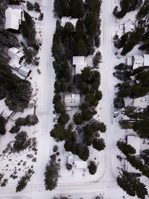 Areal Photography of Snow Covered Houses Surrounded by Green Trees