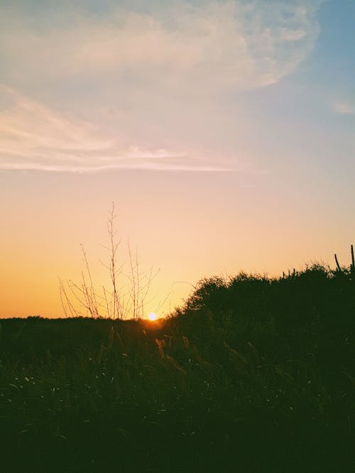 คลังภาพถ่ายฟรี ของ atardecer, ท้องฟ้าสีชมพู, ธรรมชาติ