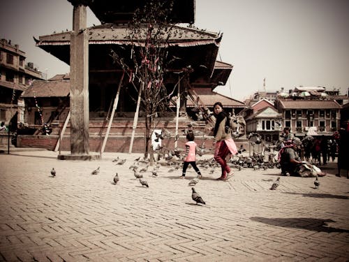 네팔, 사원, 자연의 무료 스톡 사진