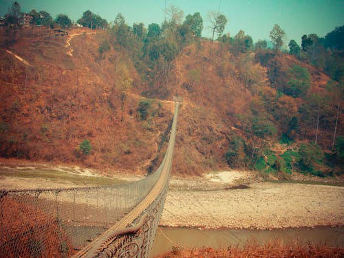 Free stock photo of bridge, footbridge, nature