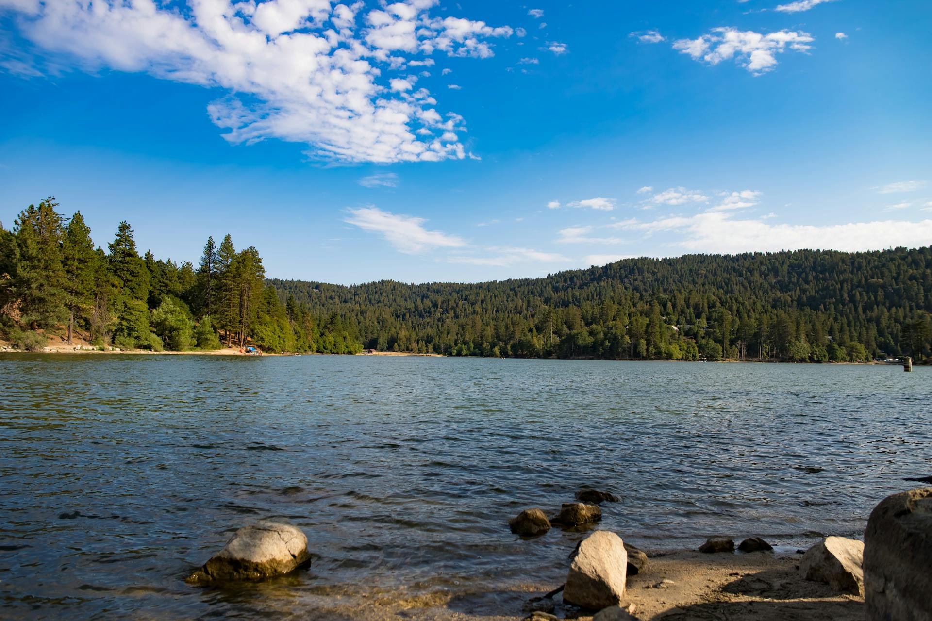 Serene summer landscape of Lake Gregory surrounded by lush conifer forests under a bright blue sky.