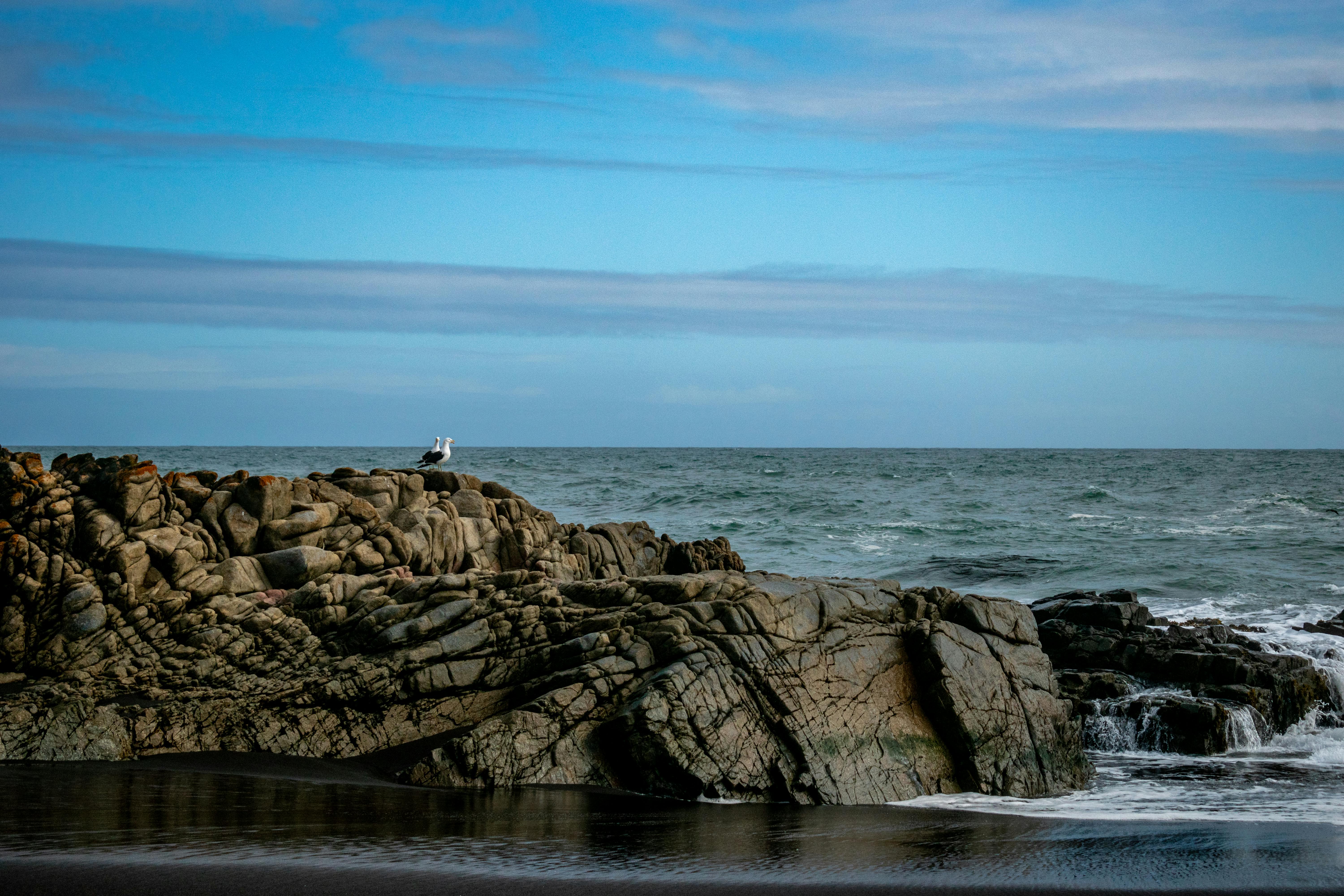 Scenic view of rocky coastline and ocean in Constitución, Chile, under a blue sky.