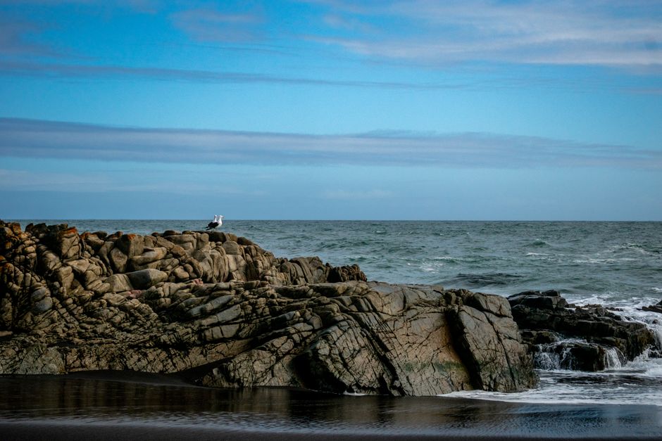 Valdivian Coastal Reserve, Chile - travel photo