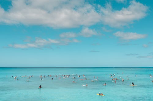 People Surfing on the Beach