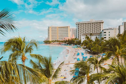 Бесплатное стоковое фото с берег моря, здания, кокосовые пальмы