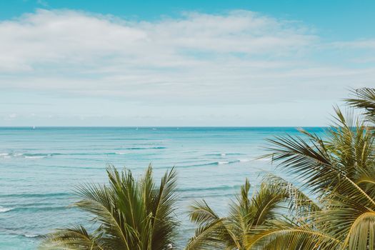 Serene view of palm trees and tropical sea under blue skies.