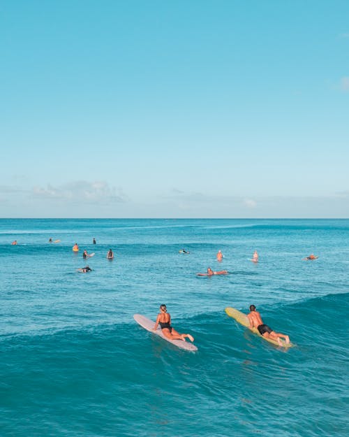 Безкоштовне стокове фото на тему «вертикальні постріл, відпустка, дошки для серфінгу» стокове фото