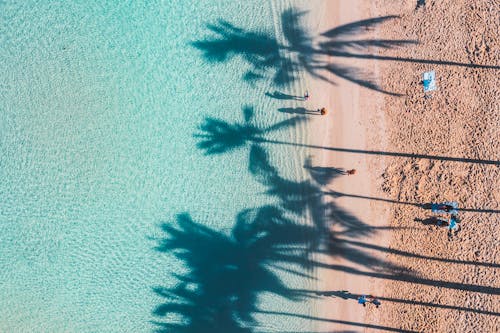 People Enjoying the Tropical Beach