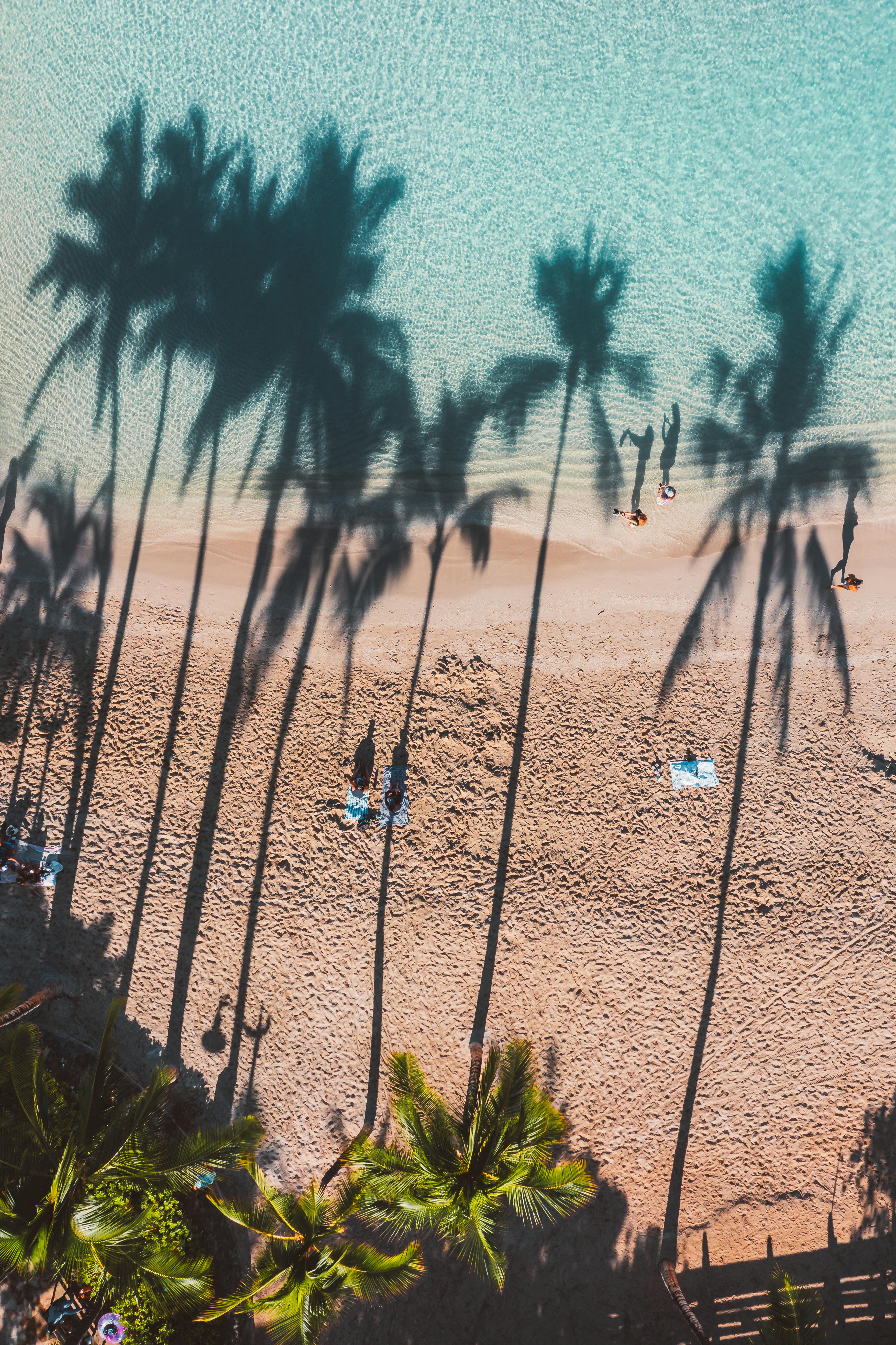 A stunning aerial view of a tropical beach with palm tree shadows on the sand and turquoise water.