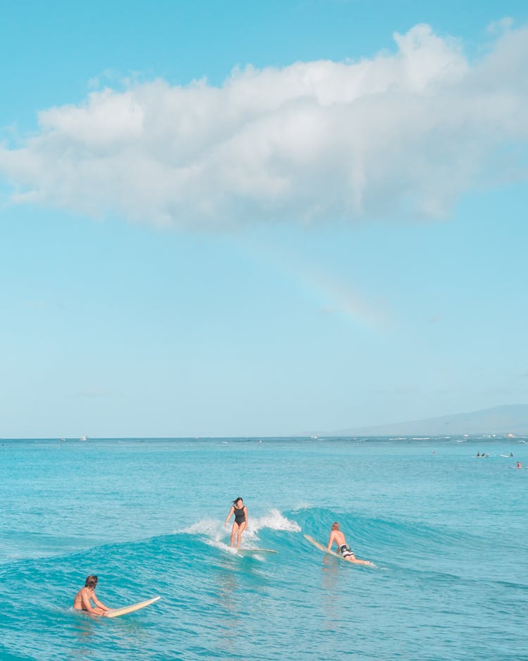 Woman And Men Surfing