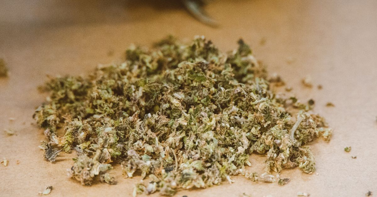 Comment choisir la fleur CBD pur adaptée à vos besoins