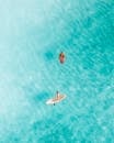 Free stock photo of action, active, adventure
